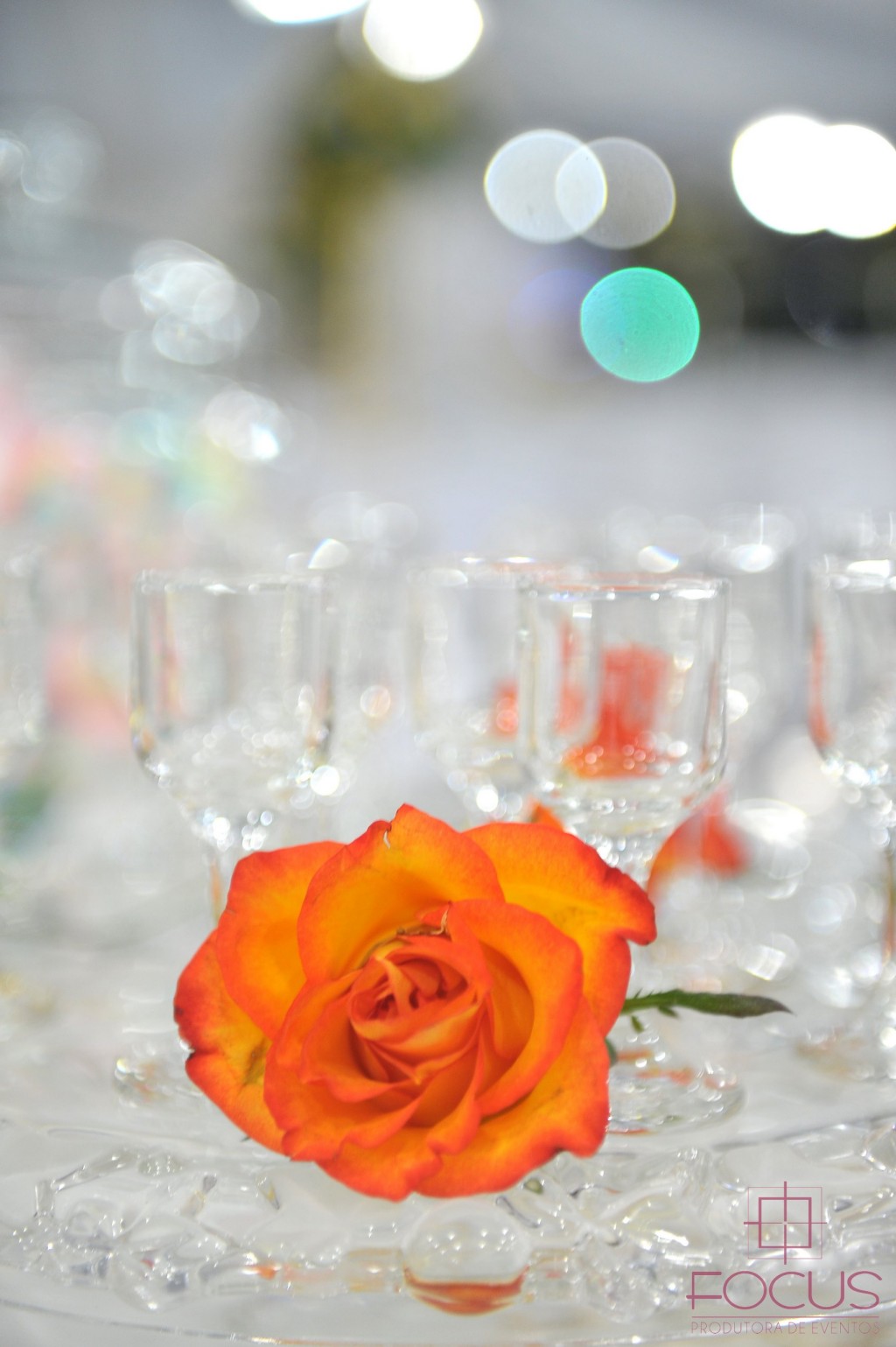 Decoração_CASUSA023