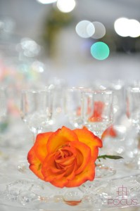 Decoração_CASUSA023