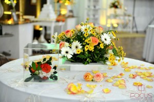 Decoração_CASUSA029