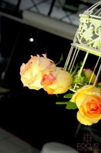 Decoração_CASUSA044