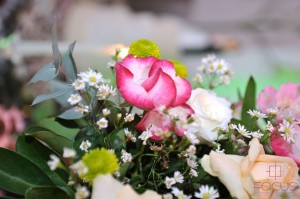 Decoração_MAISON015